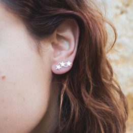 04042010-DSC_0130 pendientes perseidas