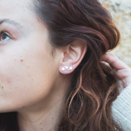 pendientes Perseidas