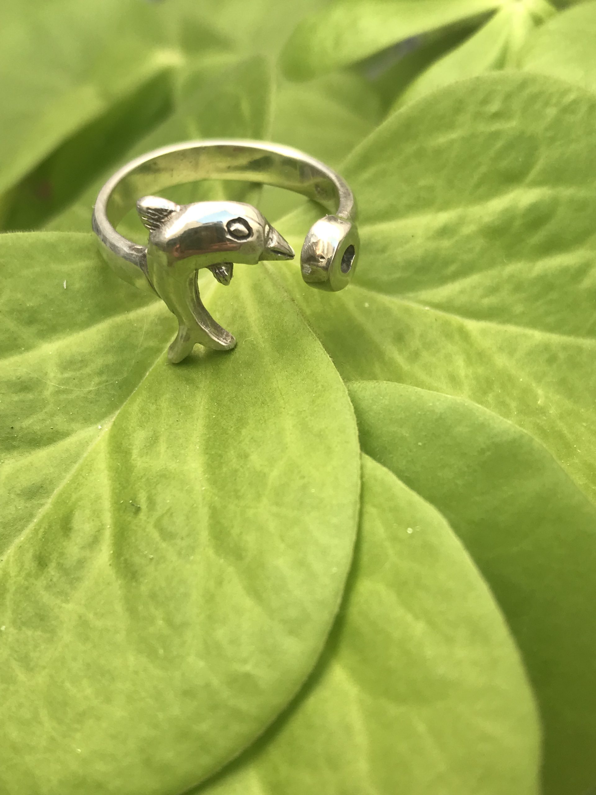 IMG_6790 anillo dolphin